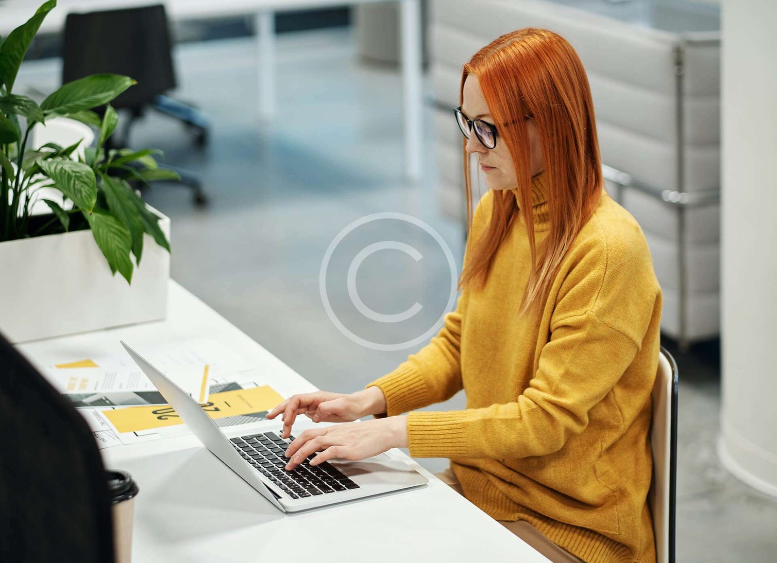 Software Development